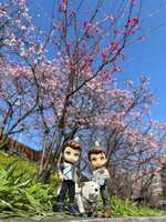 https://images.plurk.com/2UB2zRui26hdXH9RXKNx11.jpg