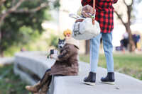 https://images.plurk.com/2UCpg07n2ReaurZaaFl5Km.jpg
