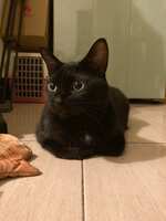 https://images.plurk.com/2UHKJZLixwF222rMRr1FVr.jpg