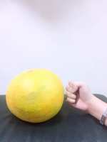 https://images.plurk.com/2UYZfvmSEF6DpYEEH16wnT.jpg