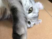 https://images.plurk.com/2UYrl5xIO9fjYYit3nPkUe.jpg