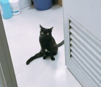 https://images.plurk.com/2UaYSMyDepnWhUG9QDkQlN.png