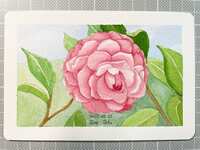 https://images.plurk.com/2UhNiOLEp7oP2VrZwNqmQs.jpg