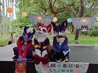 https://images.plurk.com/2UrRnP79LD3pp5B1PClu1Y.jpg