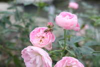 https://images.plurk.com/2UvOMhG6GL13NHuySOakmT.jpg