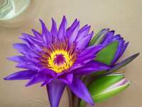 https://images.plurk.com/2V2o3q4UtAPdY0b851f1NB.jpg