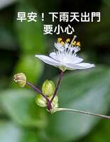 https://images.plurk.com/2V4ZPemPlUXZWlcjXgpkf0.jpg