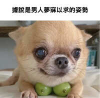 https://images.plurk.com/2V706myKBGGdxovEiw49j5.jpg