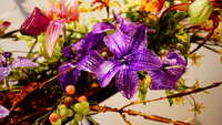 https://images.plurk.com/2V7P91pKUrCRpE3g6uoZZt.jpg