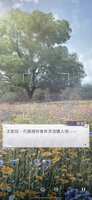 https://images.plurk.com/2V7b45oobKsq8RbFEOOdl0.png