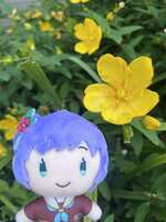 https://images.plurk.com/2VAeXWpLroVUlTJXwp6Tb8.png