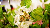 https://images.plurk.com/2VGYXcjizvbXu7cEXZdJFy.jpg