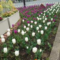 https://images.plurk.com/2VWnDmgOiTz9w4IrdMQclB.jpg