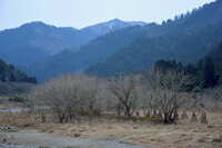 https://images.plurk.com/2VemVLDsQprTRBiD4L1Isc.jpg