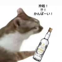https://images.plurk.com/2ViHmByaCEn5yCxhcJVbHY.jpg