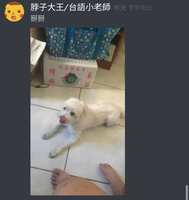 https://images.plurk.com/2VlA1TS3n234ANvBXOIJgJ.jpg