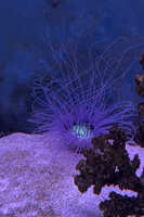 https://images.plurk.com/2VmKxCYtwogt2f71T8J7Mc.jpg