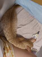 https://images.plurk.com/2W0BXU548TkPntTjtoCS1y.jpg