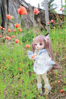 https://images.plurk.com/2W0Jn8luWfdpRl9rYDq6vv.jpg