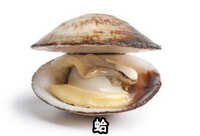 https://images.plurk.com/2W8VvFKnYfvHWxV18mVPxZ.jpg