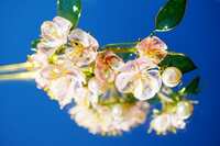 https://images.plurk.com/2W9ugwSnp1ORyi4dUHUopl.jpg