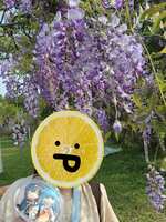 https://images.plurk.com/2WAaLrIjpBTtjBAj5IKbTP.jpg