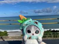 https://images.plurk.com/2WHL9lWT1aSklNY9mGtaXG.jpg
