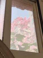 https://images.plurk.com/2WLnWpPEoGLVl0sW9l89Xd.jpg