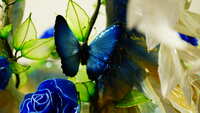https://images.plurk.com/2WNJj49WLlBmXXtFagjMC1.jpg