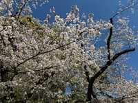 https://images.plurk.com/2WVnFJRTNKPIqIX8NmYqmn.jpg