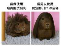 https://images.plurk.com/2WXlBWcjF8COXPLNW5daAt.jpg