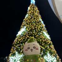 https://images.plurk.com/2WYir084qLxSOFKfgY4VIg.jpg