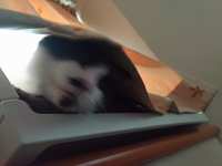 https://images.plurk.com/2Whw97G7PwpF6OoHxUy6mH.jpg