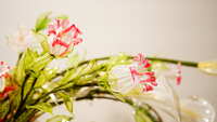 https://images.plurk.com/2WmBIQGER0vywTrhW2OjSV.jpg
