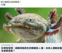 https://images.plurk.com/2WwZXnEJBP124fQaVuFtsf.png