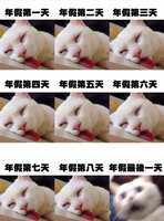 https://images.plurk.com/2WzsIEfTsQZ9aXmmDxijBq.jpg