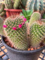 https://images.plurk.com/2X22DEu0mwghLpDkfluzjW.jpg