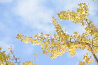 https://images.plurk.com/2X3YG59MKwri8gsRkknQ23.jpg