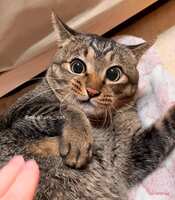 https://images.plurk.com/2XD6clhPAWjgegwdAchsNR.jpg