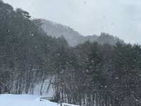 https://images.plurk.com/2XFN8QKc98f5zrSRKEWNgd.jpg
