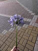 https://images.plurk.com/2XFw3HUtjbQrkbg8ZDSciR.jpg