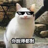 https://images.plurk.com/2XMnmFfZXxz4YlNJ8RbAp8.jpg