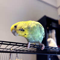 https://images.plurk.com/2XPPmNCjuR2qORRaMn8NZc.jpg