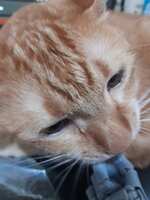 https://images.plurk.com/2XWIeVnQzZOpuSg5cv48UT.jpg