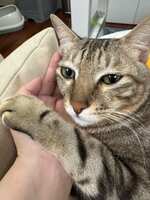 https://images.plurk.com/2XZxabtS3clcWNqfJFJQ7.jpg