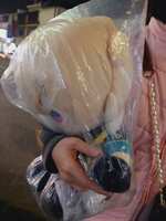 https://images.plurk.com/2Xdx7XthpM1Hndn0ecVlgj.jpg