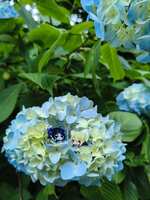 https://images.plurk.com/2XndcSqADM5gRldlZQnEud.jpg