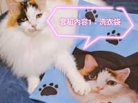 https://images.plurk.com/2XpSdk961lQG8M0KROCzXe.jpg