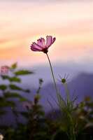 https://images.plurk.com/2XtDXbLQ0sdmfAOOB2bjh9.jpg