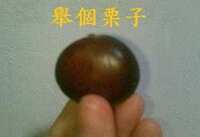 https://images.plurk.com/2Y0uYuFvG6Hndq4Sd4wN2T.jpg